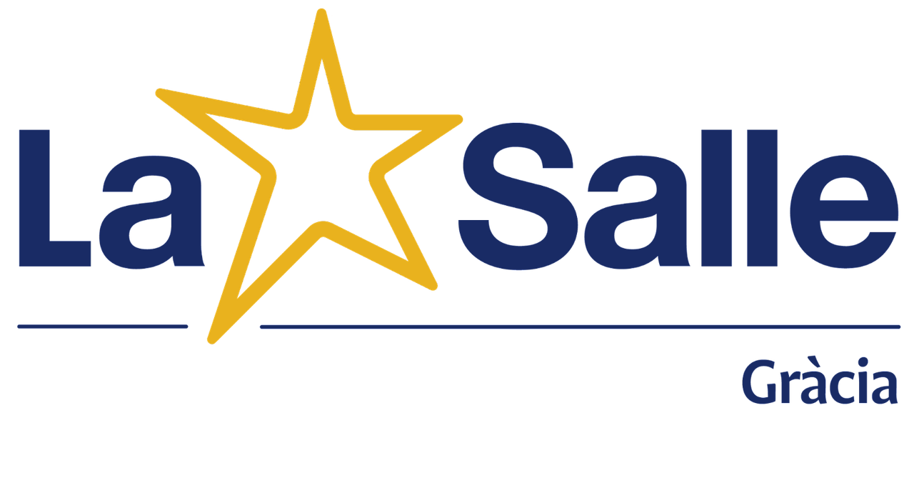 institution flag
