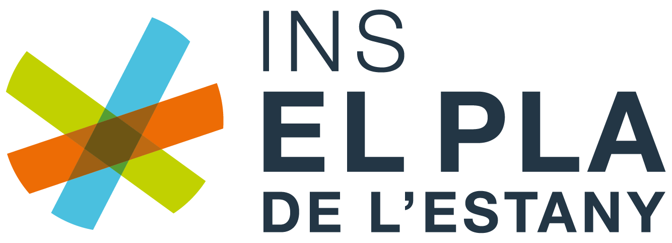 institution flag
