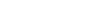 institution flag